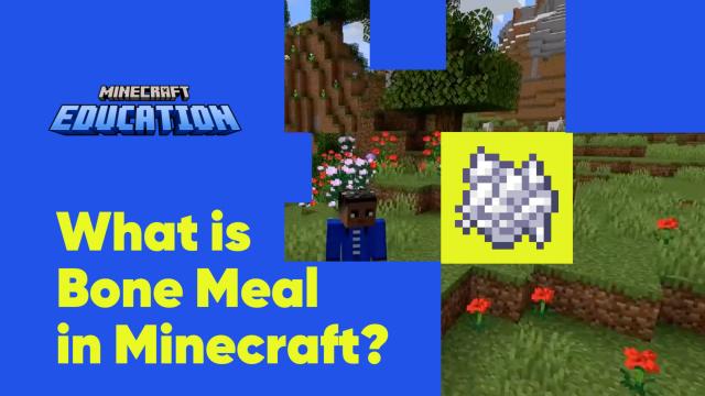 What is bone meal in Minecraft?